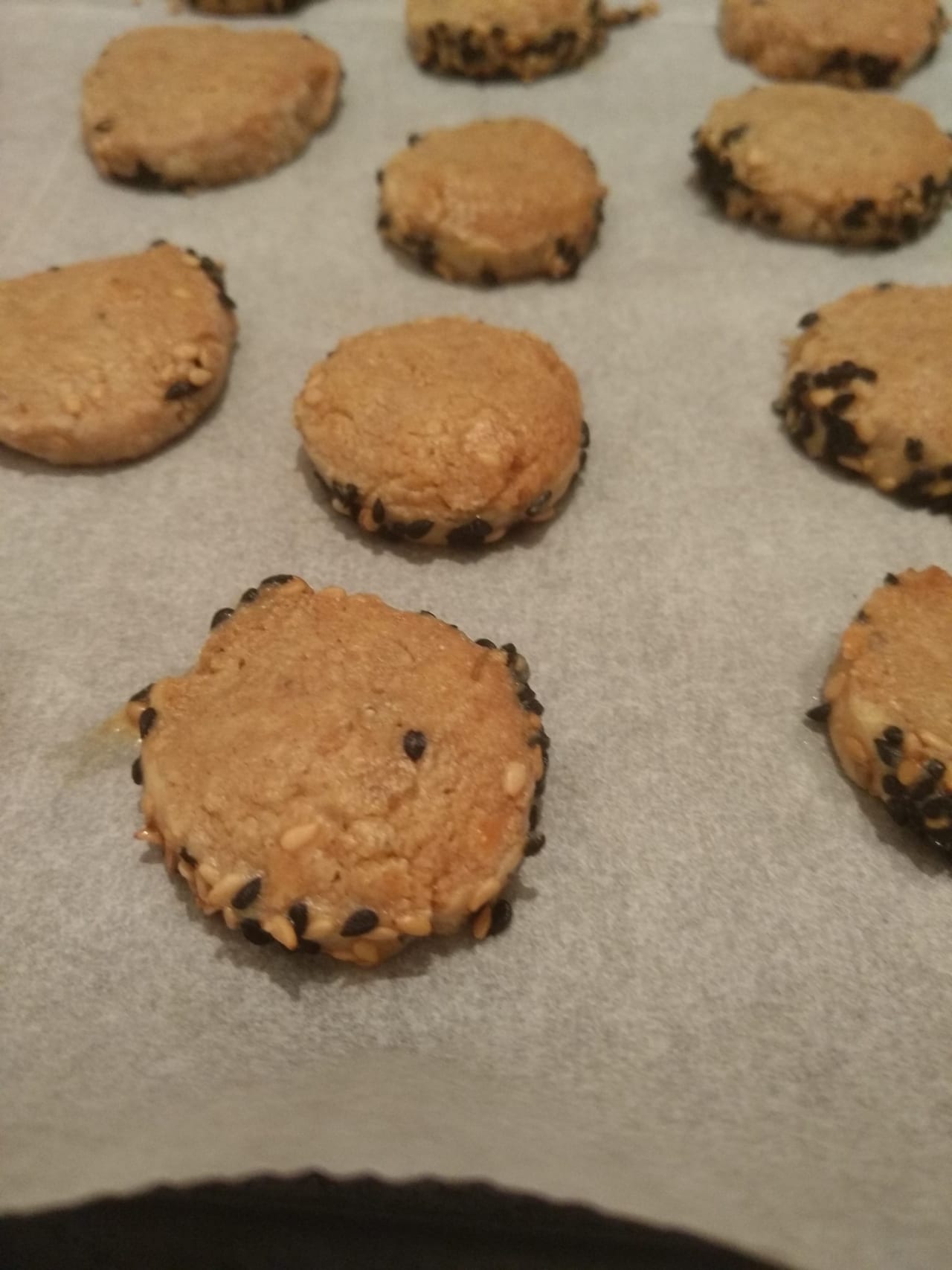 roquefort cheese cookies